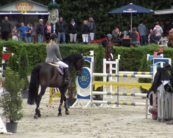 Reitturnier Vlotho-Exter 2019