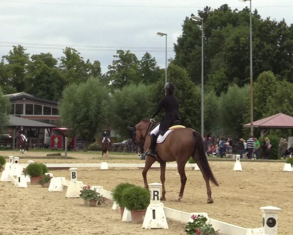 Reitturnier Münster-Roxel 2019