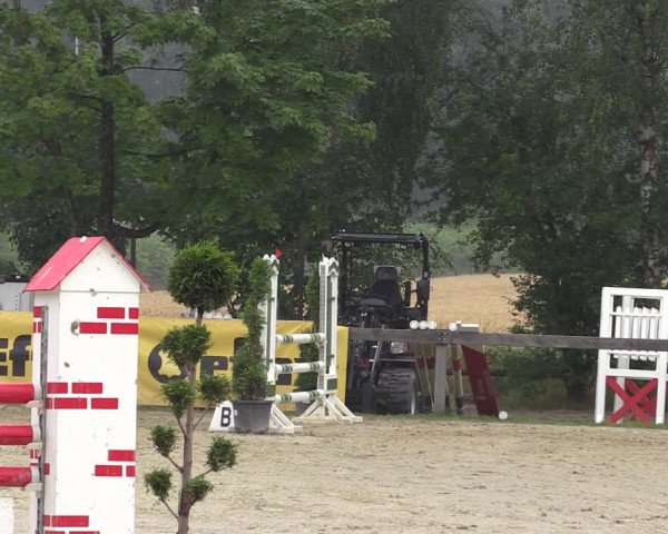 Reitturnier Münster-Roxel 2019