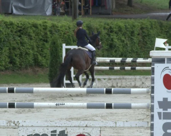 Reitturnier Vlotho-Exter 2019
