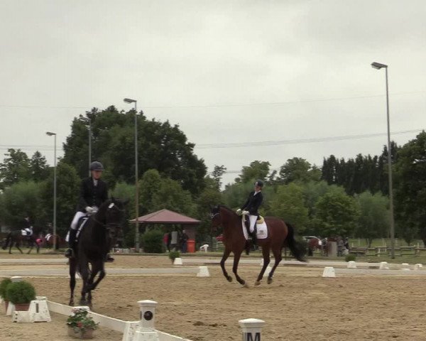 Reitturnier Münster-Roxel 2019