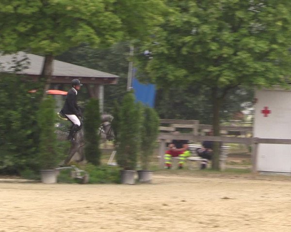 Reitturnier Münster-Roxel 2019