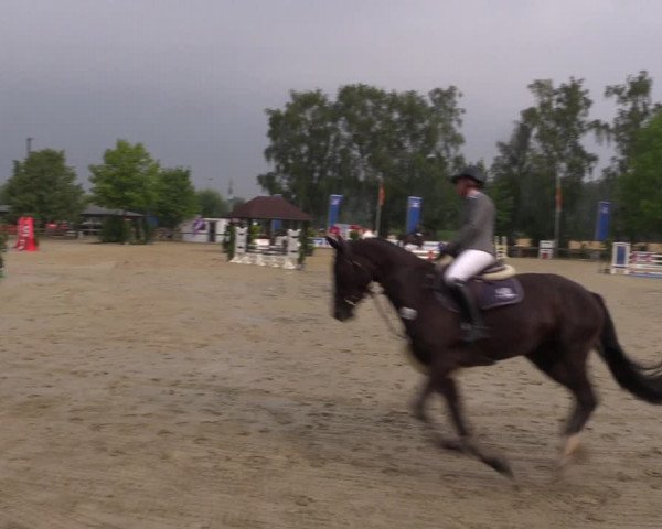 Reitturnier Münster-Roxel 2019