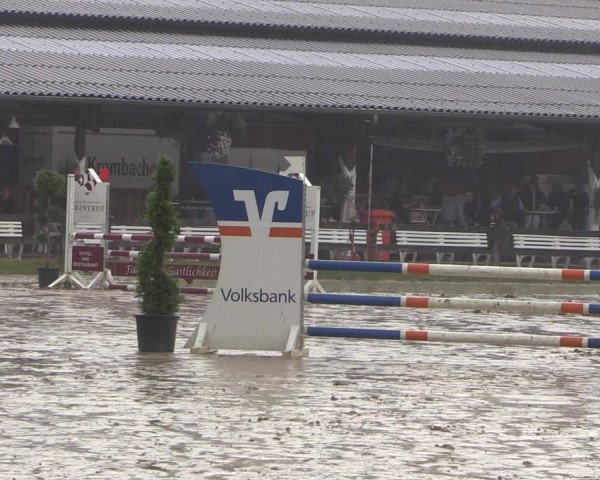 Reitturnier Münster-Roxel 2019