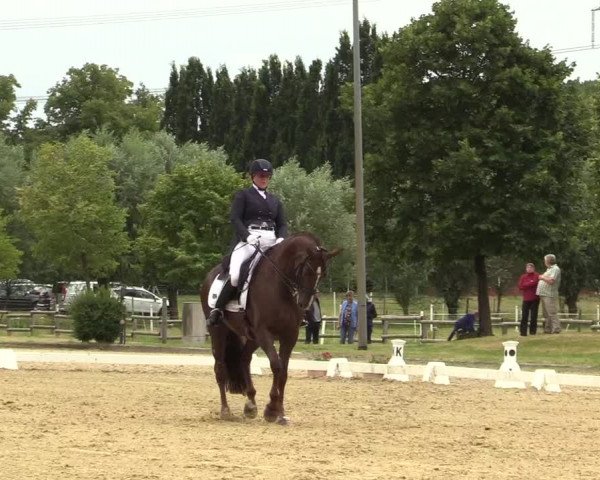 Reitturnier Münster-Roxel 2019