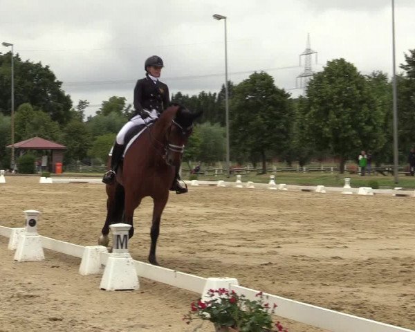 Reitturnier Münster-Roxel 2019