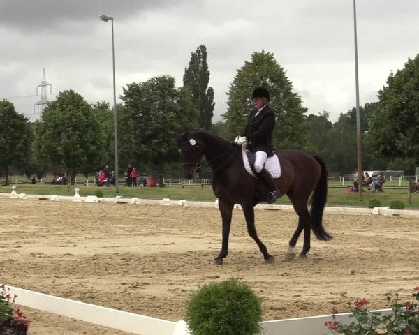 Reitturnier Münster-Roxel 2019