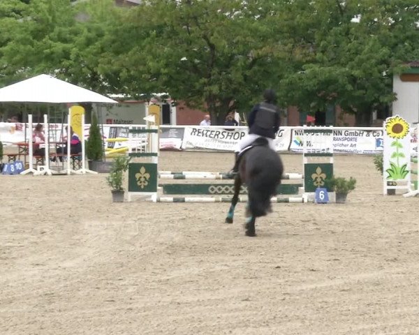 Reitturnier RA Haren/Lüssing 2019