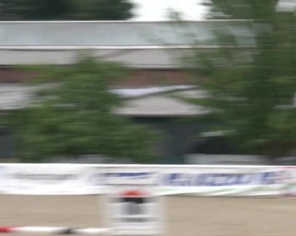 Reitturnier RA Haren/Lüssing 2019