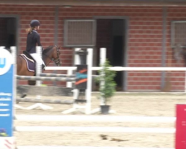 Reitturnier RA Haren/Lüssing 2019