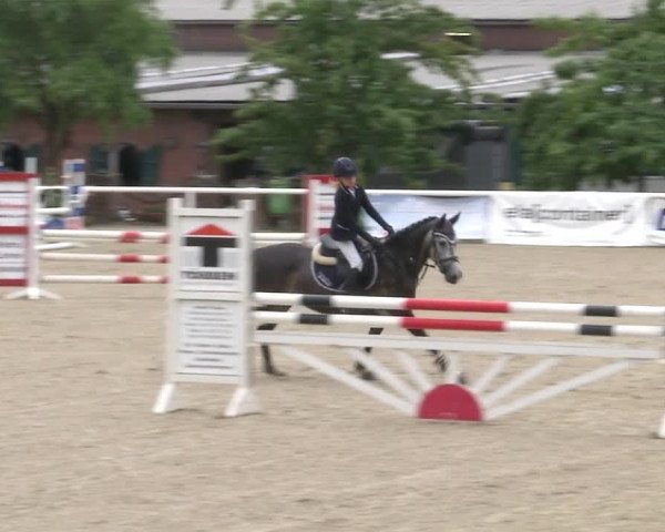 Reitturnier RA Haren/Lüssing 2019
