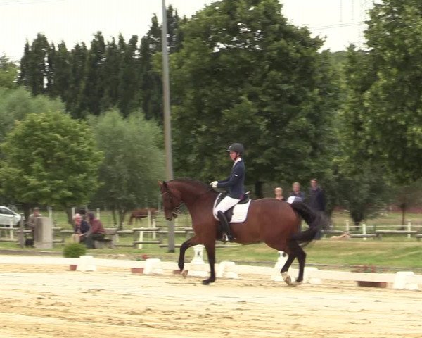 Reitturnier Münster-Roxel 2019