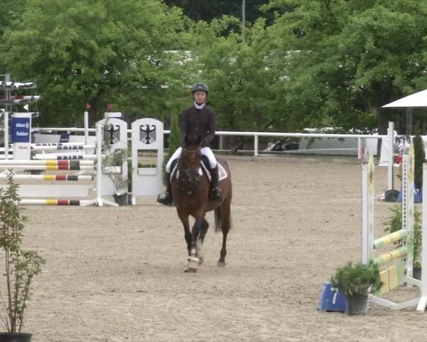 Reitturnier RA Haren/Lüssing 2019