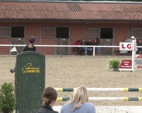 Reitturnier RA Haren/Lüssing 2019