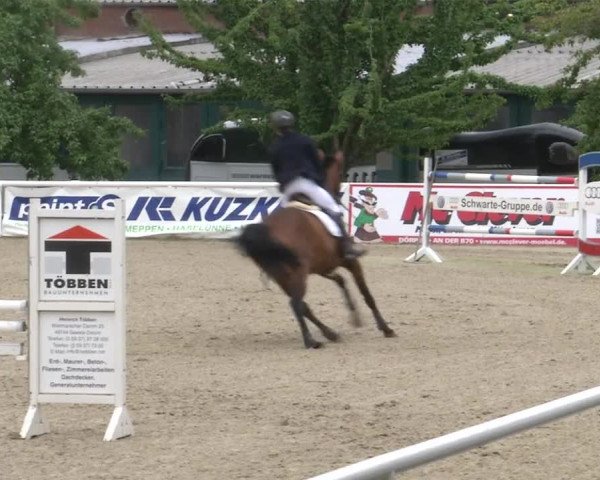 Reitturnier RA Haren/Lüssing 2019
