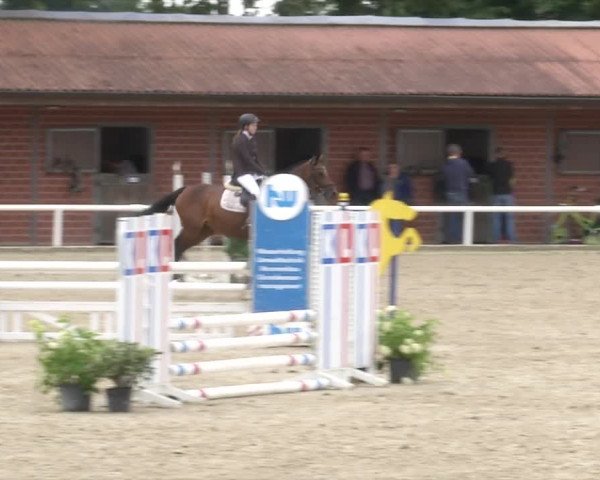 Reitturnier RA Haren/Lüssing 2019