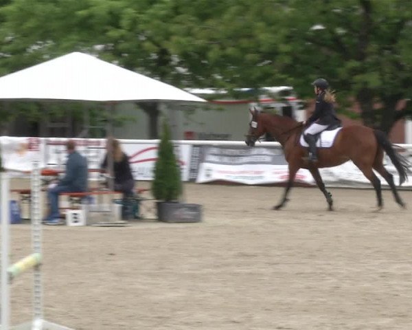 Reitturnier RA Haren/Lüssing 2019