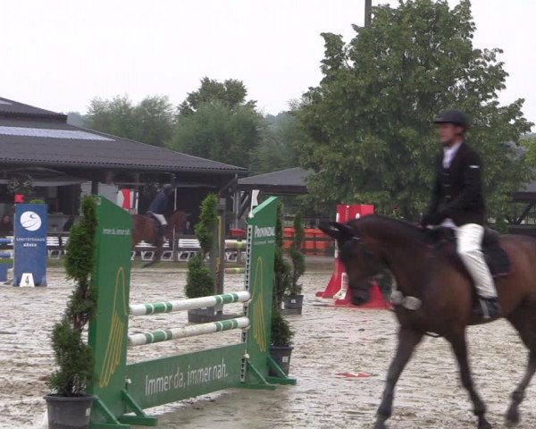 Reitturnier Münster-Roxel 2019