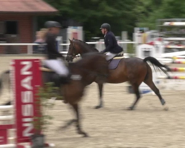Reitturnier RA Haren/Lüssing 2019