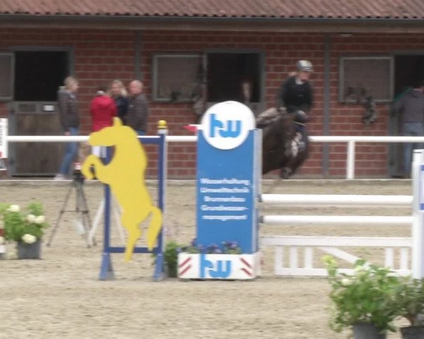 Reitturnier RA Haren/Lüssing 2019