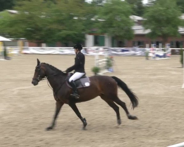 Reitturnier RA Haren/Lüssing 2019