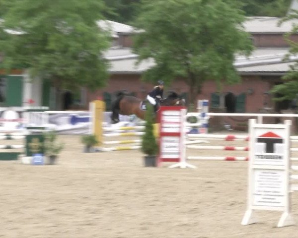 Reitturnier RA Haren/Lüssing 2019
