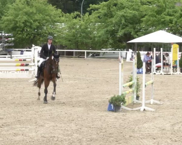 Reitturnier RA Haren/Lüssing 2019