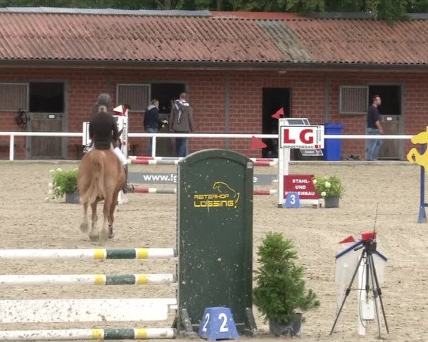 Reitturnier RA Haren/Lüssing 2019