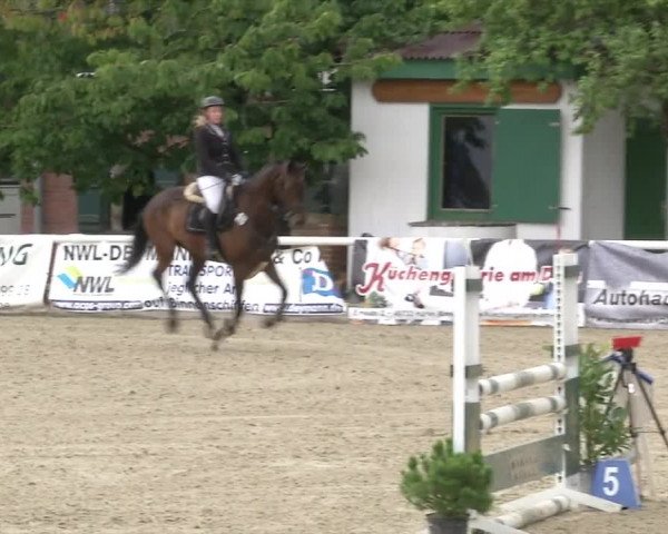 Reitturnier RA Haren/Lüssing 2019