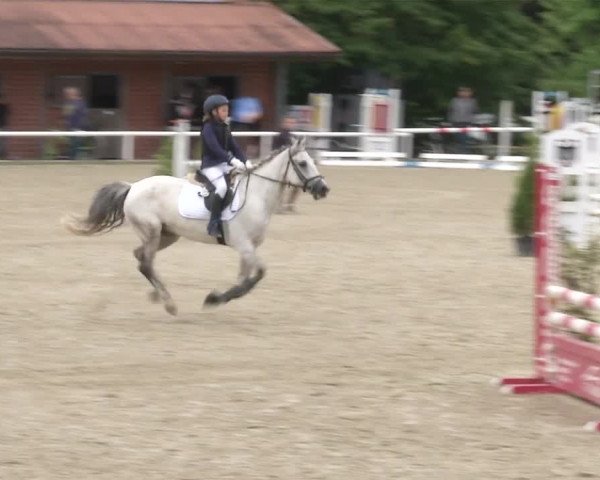 Reitturnier RA Haren/Lüssing 2019