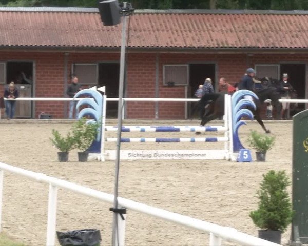 Reitturnier RA Haren/Lüssing 2019