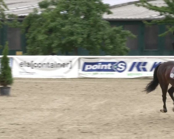 Reitturnier RA Haren/Lüssing 2019