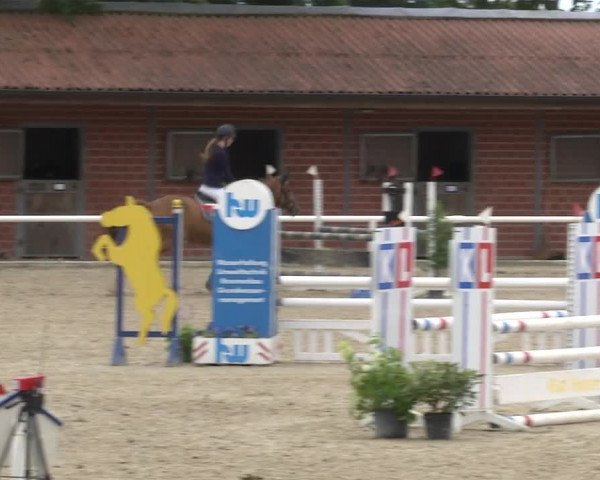 Reitturnier RA Haren/Lüssing 2019
