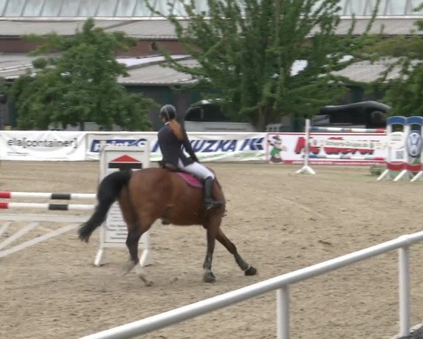 Reitturnier RA Haren/Lüssing 2019