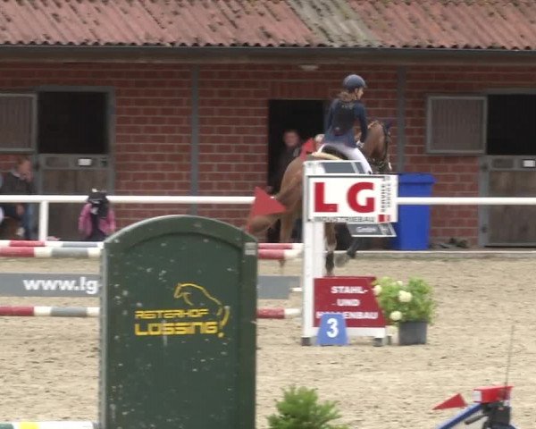 Reitturnier RA Haren/Lüssing 2019