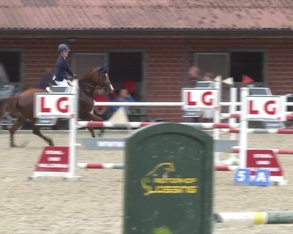 Reitturnier RA Haren/Lüssing 2019