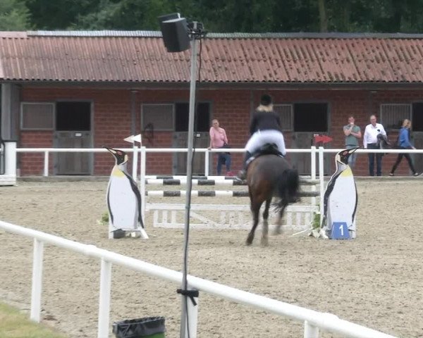 Reitturnier RA Haren/Lüssing 2019