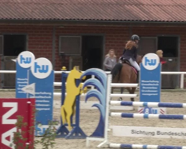 Reitturnier RA Haren/Lüssing 2019
