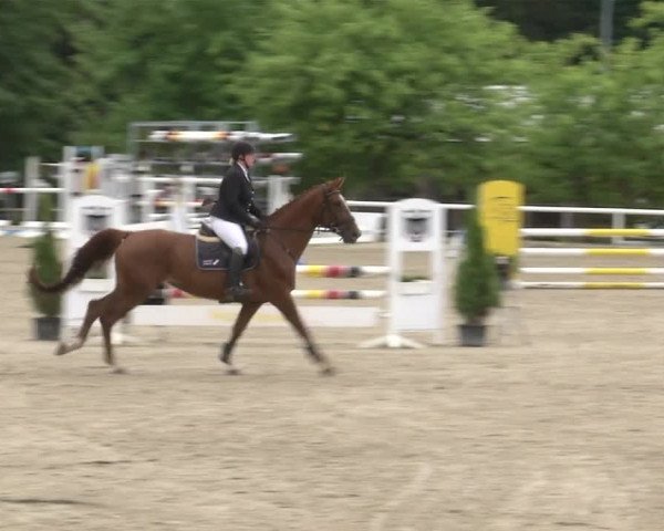 Reitturnier RA Haren/Lüssing 2019
