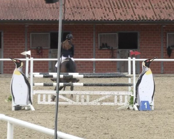 Reitturnier RA Haren/Lüssing 2019