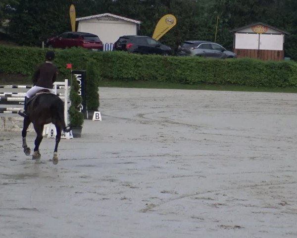 Reitturnier Vlotho-Exter 2019