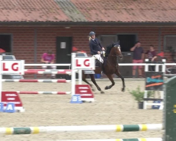 Reitturnier RA Haren/Lüssing 2019