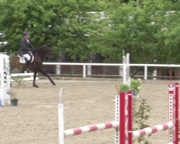 Reitturnier RA Haren/Lüssing 2019