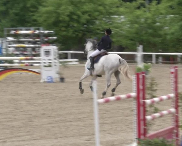 Reitturnier RA Haren/Lüssing 2019