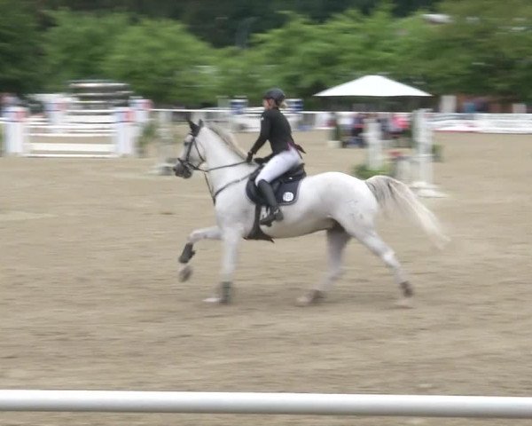 Reitturnier RA Haren/Lüssing 2019