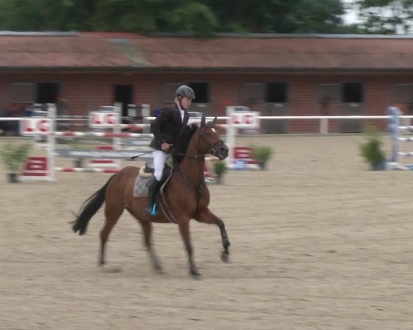 Reitturnier RA Haren/Lüssing 2019