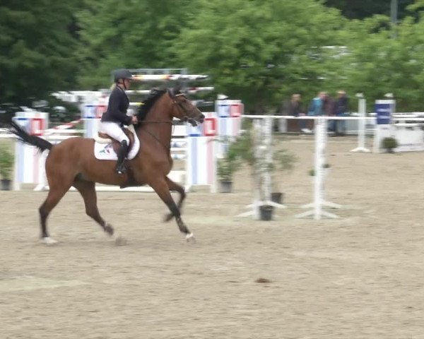 Reitturnier RA Haren/Lüssing 2019