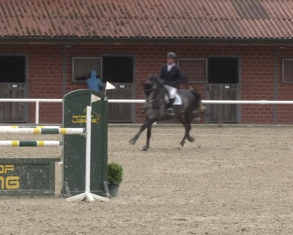 Reitturnier RA Haren/Lüssing 2019
