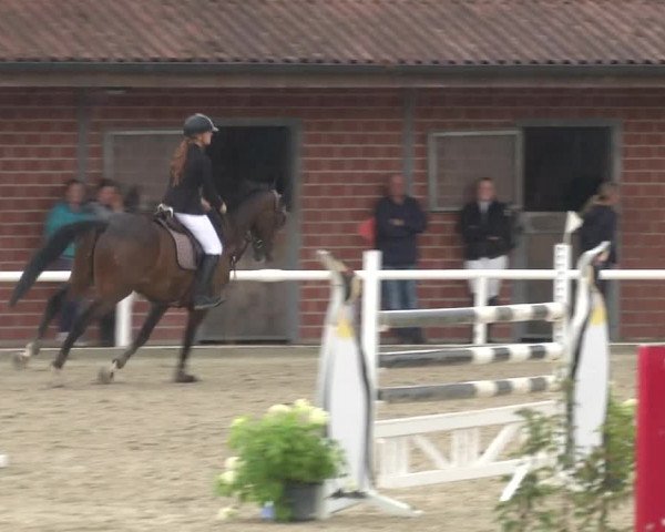 Reitturnier RA Haren/Lüssing 2019