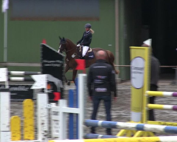 Reitturnier Süderlügum 2019